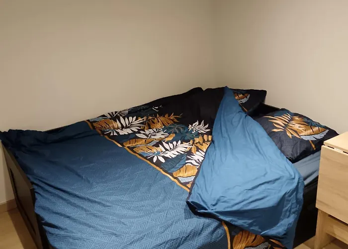 Apartment Studio Chez L'Habitant *